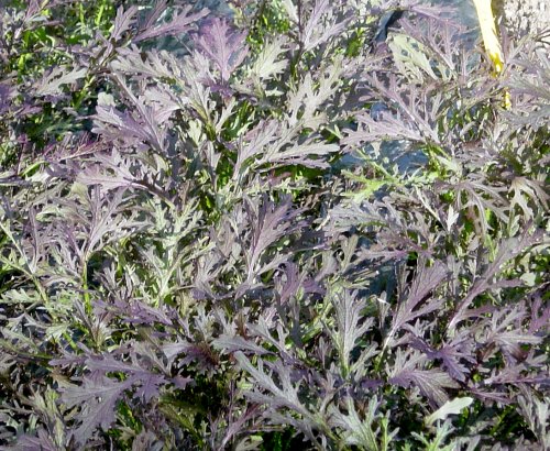 2010-07-10 2010-07-10