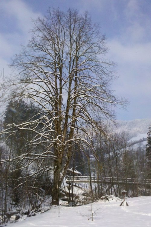 2012-02-04 2012-02-04